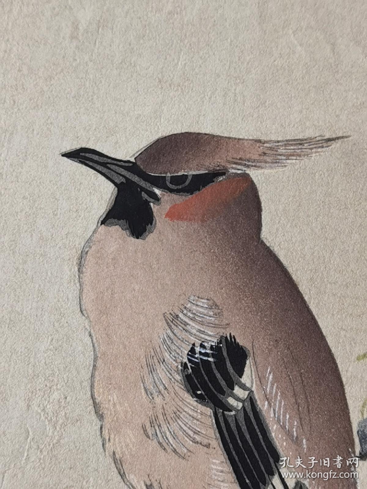木版画#铃木松年*巨幅《花鸟》*明治大正时期纯手摺木版画.