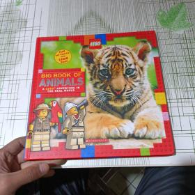 Big Book of Animals (LEGO Nonfiction)