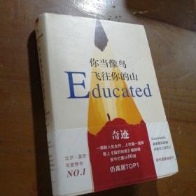 你当像鸟飞往你的山