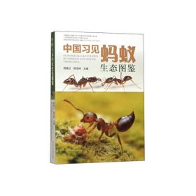 【正版新书】中国习见蚂蚁生态图鉴