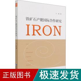 铁矿石产能国际合作研究 经济理论、法规 于果 新华正版