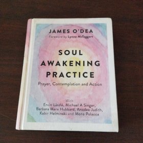 Soul Awakening Practice: Prayer, Contemplation and Action（英文原版）