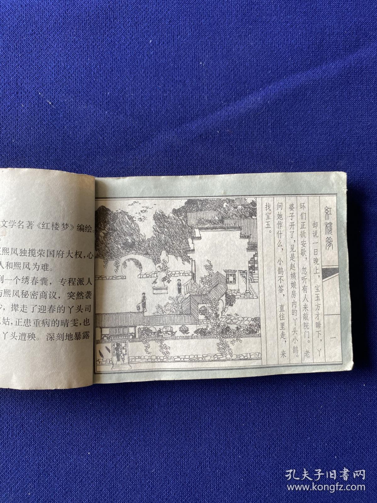 抄检大观园(红楼梦之十)