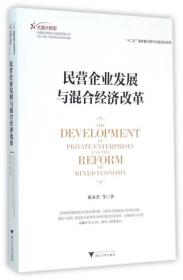 民营企业发展与混合经济改革/大国大转型中国经济转型与创新发展丛书