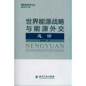 论/世界能源战略与能源外交 战略管理 董秀丽