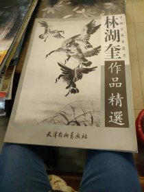 林湖奎作品精选------中国画范本丛书（正版新书） 4开