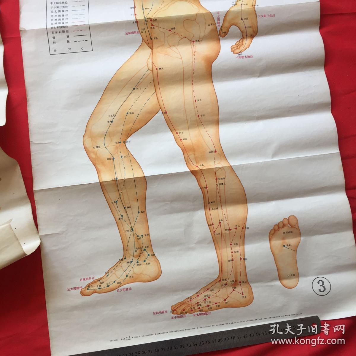 针灸穴位挂图一套3张