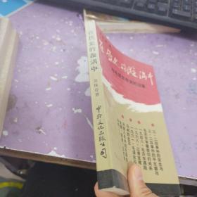 在历史的漩涡中