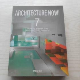 Architecture Now 7：现代建筑 7