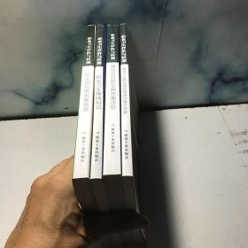 职业卫生技术服务机构专业技术人员培训考试教程—-职业卫生评价与检测系列一套四本全：建设项目职业病危害评价，典型行业职业病危害评价要点分析，职业病危害因素检测，职业卫生基础知识（非偏远地区包邮）