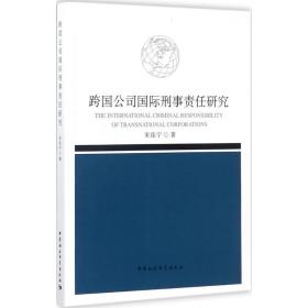 跨国公司国际刑事责任研究 法学理论 宋佳宁  新华正版