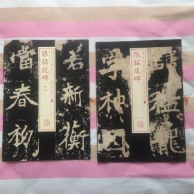 书法经典放大·铭刻系列：张猛龙碑