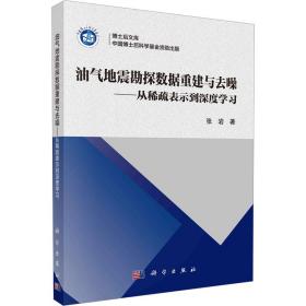 油氣地震勘探數據重建與去噪——從稀疏表示到深度學 冶金、地質 張巖 新華正版