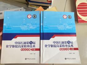 中国石油第九届化学驱提高采收率技术年会论文集 上下册