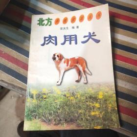 肉用犬