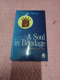A Soul in Bondage：Stories from Tibet 西藏：系在皮绳扣上的魂（英文版）