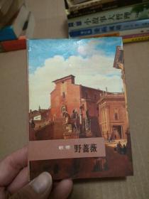野蔷薇