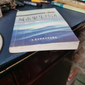 城市聚焦经济:一般理论及其对中国城市化问题的应用分析