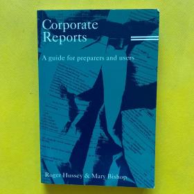 corporate reports a guide for preparers and users