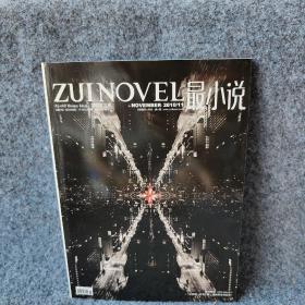 最小说2010.11