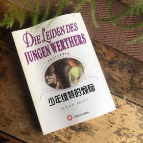 正版现货 少年维特的烦恼