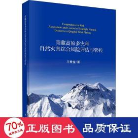 青藏高原多灾种自然灾害综合风险评估与管控 自然科学 王世金
