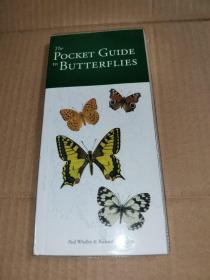 The Pocket Guide to Butterflies[蝴蝶袖珍指南]