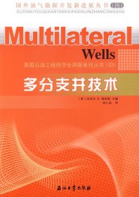 【正版书籍】多分支井技术