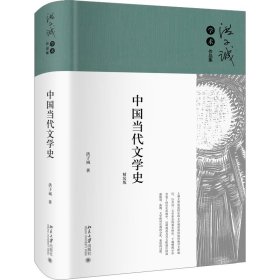 中国当代文学史 精装版 9787301343890