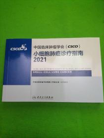 中国临床肿瘤学会（CSCO）小细胞肺癌诊疗指南2021，。