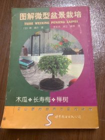 图解微型盆景栽培5木瓜长寿梅榉树w14