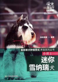 全新正版 小勇士--迷你雪纳瑞犬/爱宠嘉年华系列丛书 拍拍宠客 9787109167254 中国农业