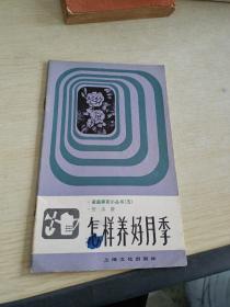 怎樣養好月季