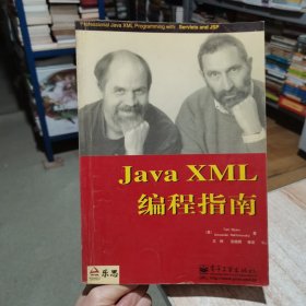 Java XML 编程指南 王辉等 电子工业出版社 （货号:D2）