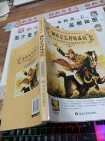 钢铁是怎样炼成的 彩图注音版