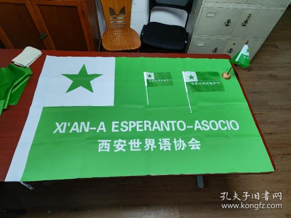 世界语4号活动旗