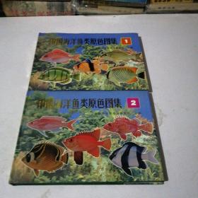 中国海洋鱼类原色图集（1.2）两册合售