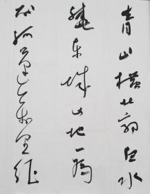 郭鸿光书法宁夏书协副秘书长银川书协副主席青山横北郭136*68，郭鸿光，男，汉族，1973年5月出生，中书协会员、民建会员。宁夏书法家协会副秘书长，银川市书法家协会副主席，银川市青年书法家协会主席。