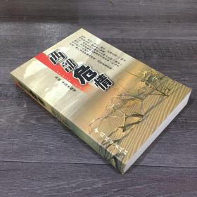 西部危情