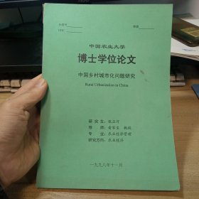 中国乡村城市化问题研究。【博士学位论文】