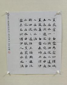 （保真）陈光键先生楷书书法小品近作：先秦古诗《蒹葭》。陈光键，中国书法家协会会员，重庆市青联委员，重庆市青年书协理事，綦江区书法家协会副秘书长，全国墨池导师。
