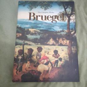 pieter Bruegel 皮特勃鲁盖尔作品全集精装大8开492页 2018年8月出版 西班牙印刷