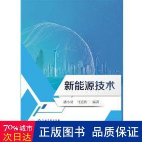 新能源技術 化工產品 潘小勇，馬道勝編著 新華正版