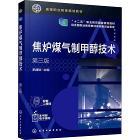 焦炉煤气制甲醇技术 第3版 9787122395184