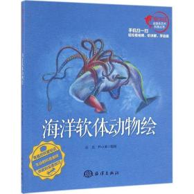 新华正版 海洋软体动物绘 彭充,尹小港 编绘 9787502794507 中国海洋出版社