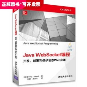 Java WebSocket编程 开发、部署和保护动态Web应用 清华社