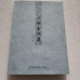 丁冰自选集