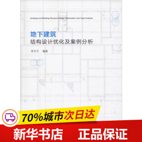 保正版！地下建筑结构设计优化及案例分析9787112231423中国建筑工业出版社李文平