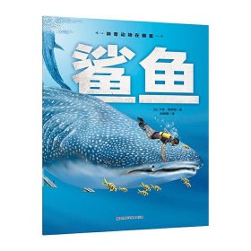 【正版新书】鲨鱼