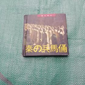 秦的兵马俑【日文版】